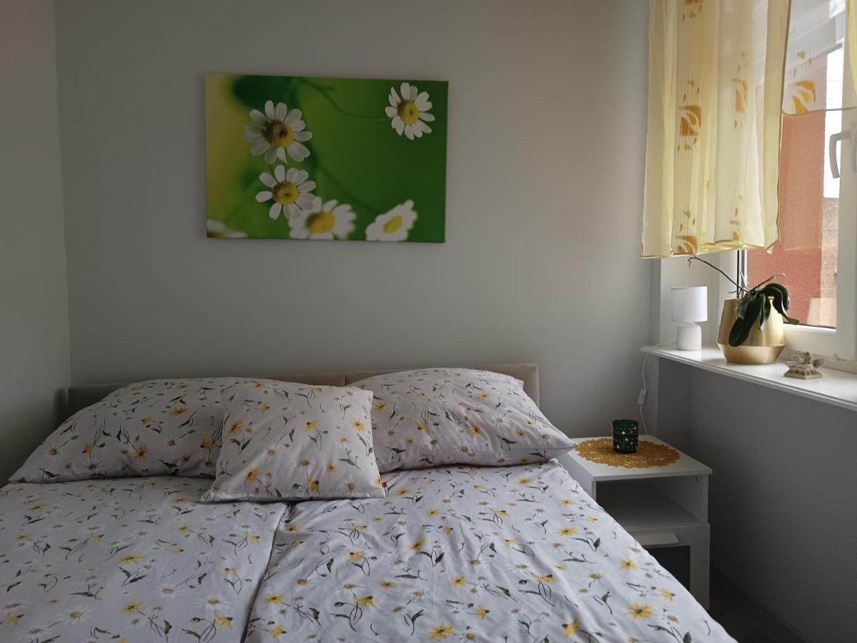 Szmaragdowy Apartament Przy Ulicy Opolskiej Tarnowskie Gory Exterior photo